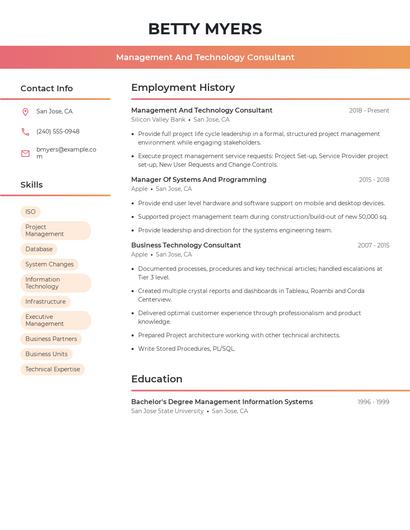 Management And Technology Consultant Resume