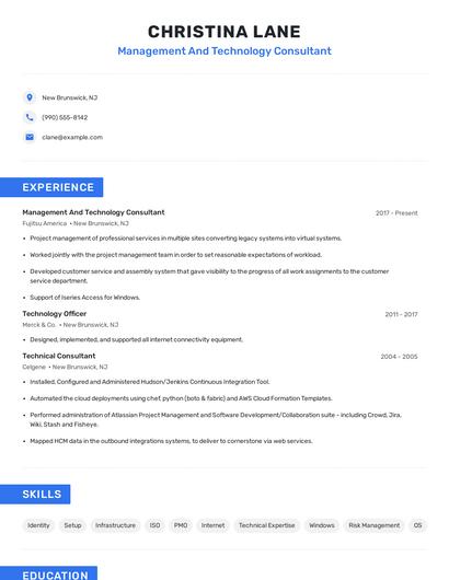 Management And Technology Consultant Resume