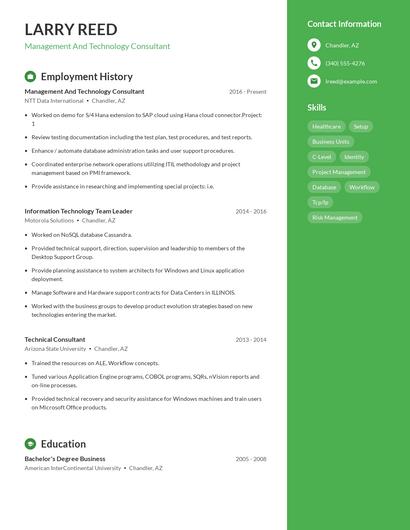 Management And Technology Consultant Resume