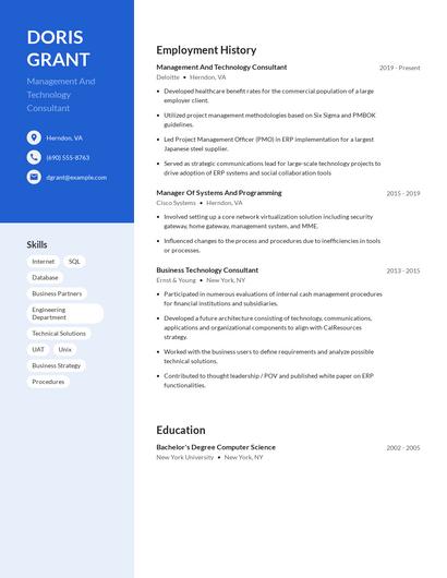 Management And Technology Consultant Resume