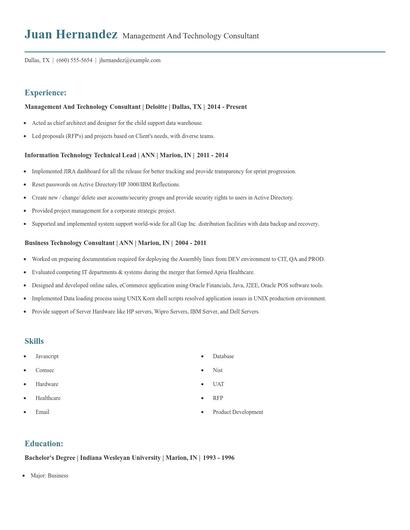 Management And Technology Consultant Resume