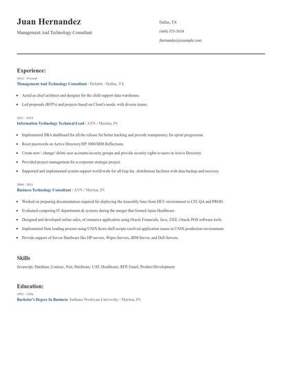 Management And Technology Consultant Resume