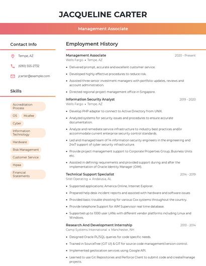 Resume example 3