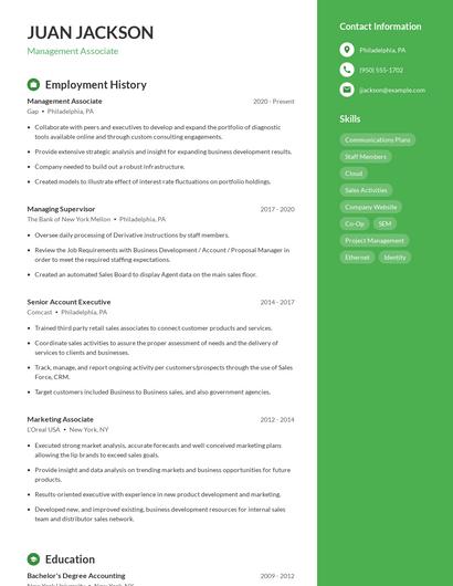 Resume example 5