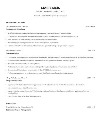 Management Consultant Resume