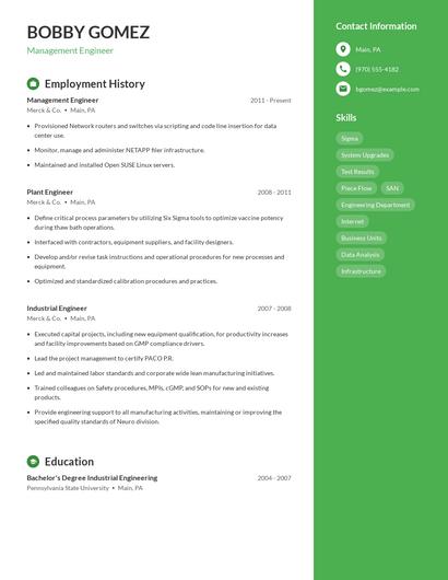 Resume example 4