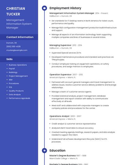 Management Information System Manager Resume