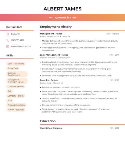 Resume example 3
