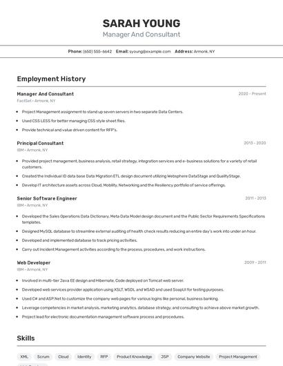 Resume example 2