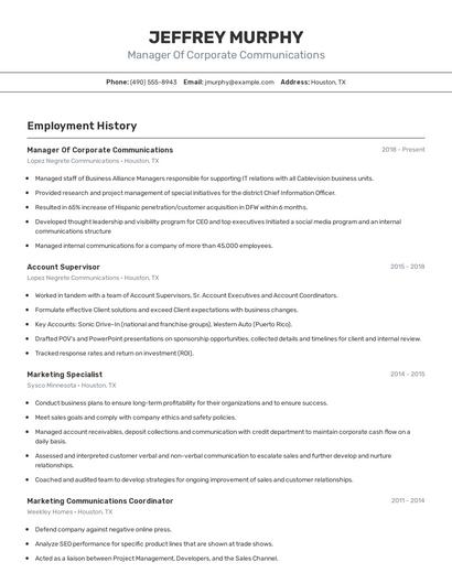 Resume example 2