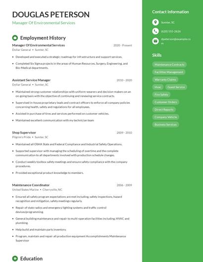 Resume example 4
