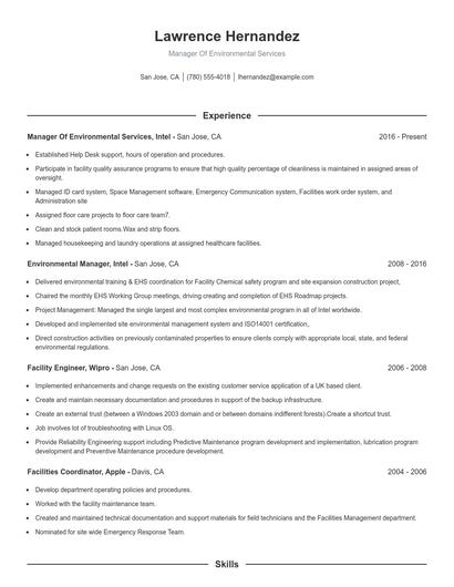 Resume example 1