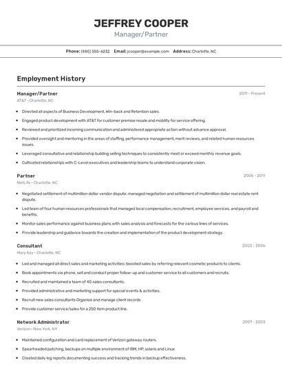 Resume example 2