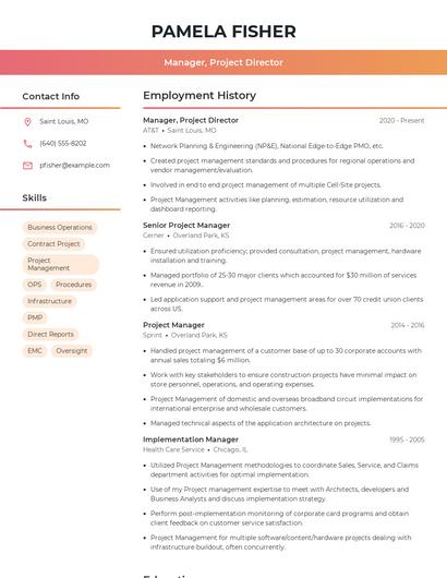 Manager, Project Director Resume