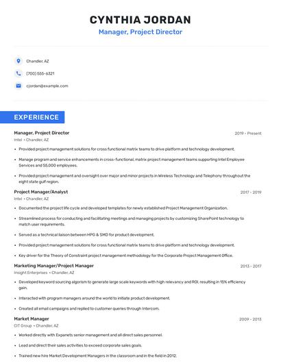 Manager, Project Director Resume