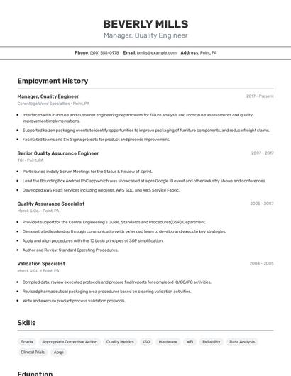 Resume example 2