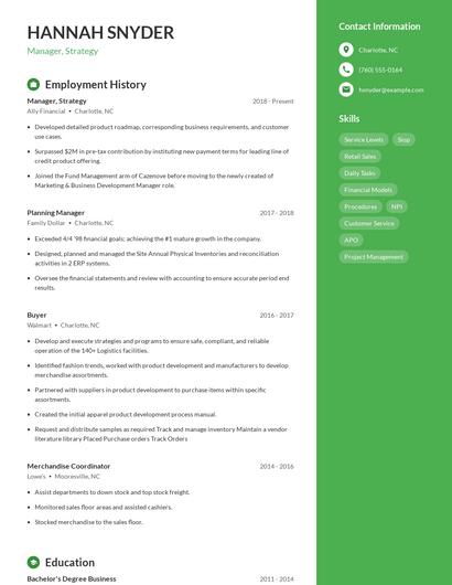Resume example 5