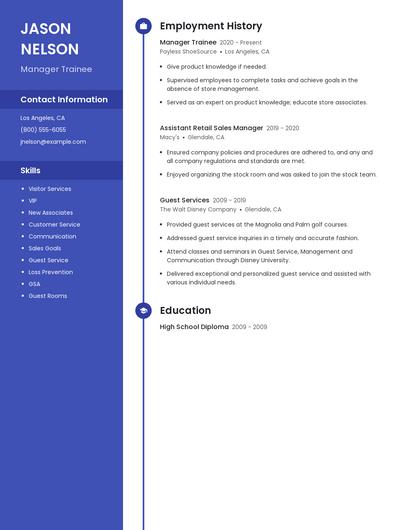 Resume example 4