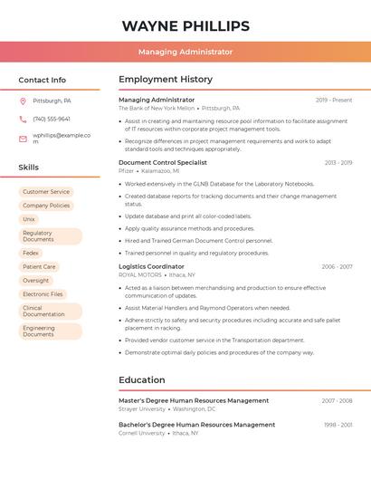 Resume example 3