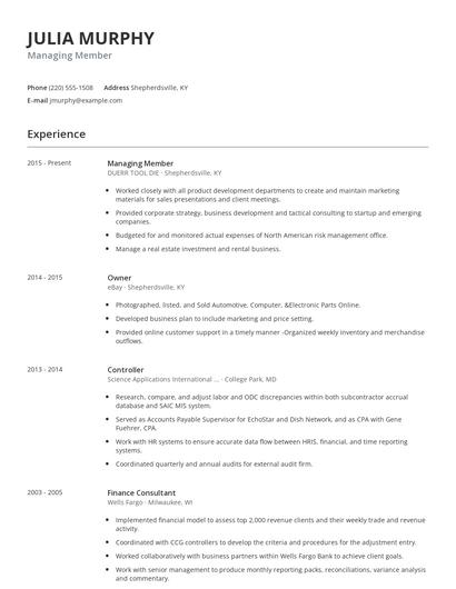 Managing Member Resume