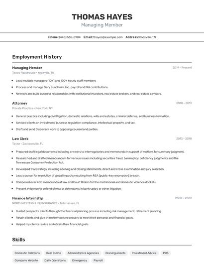 Managing Member Resume