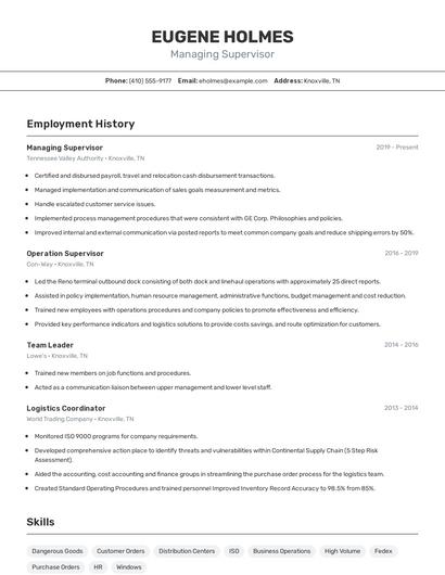 Resume example 2