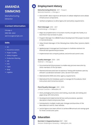 Resume example 4