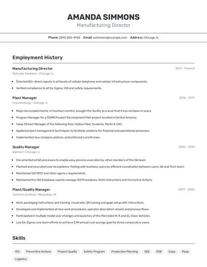 Resume example 2