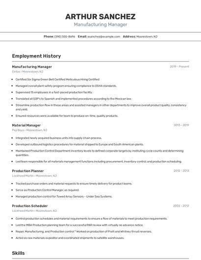 Resume example 2