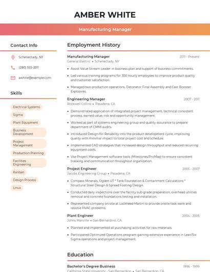 Resume example 3