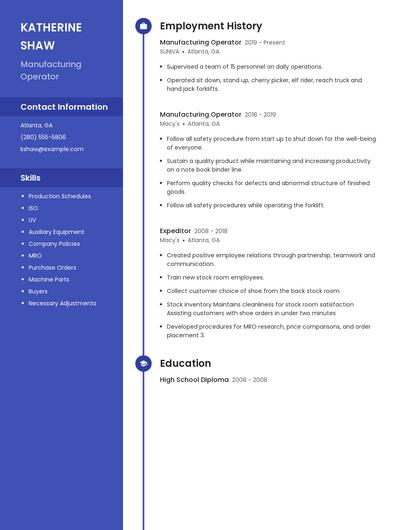 Resume example 5