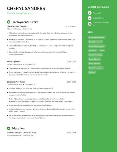 Resume example 4