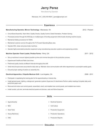 Resume example 1