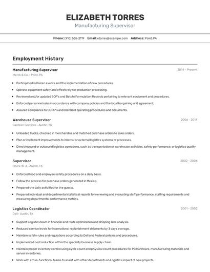 Resume example 2