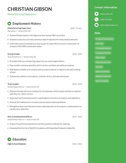 Resume example 5