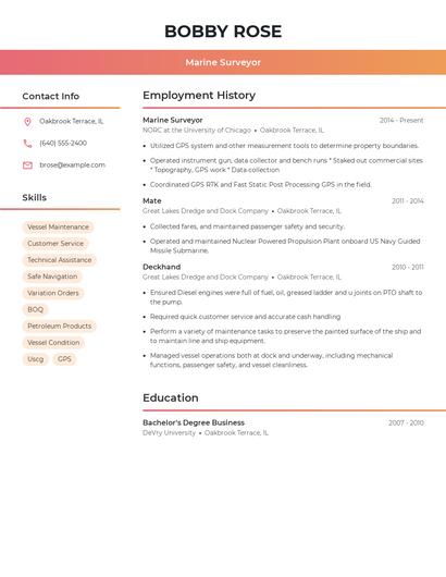 Marine Surveyor Resume
