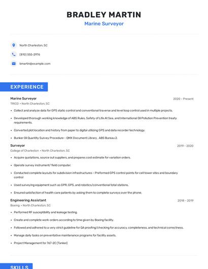 Marine Surveyor Resume