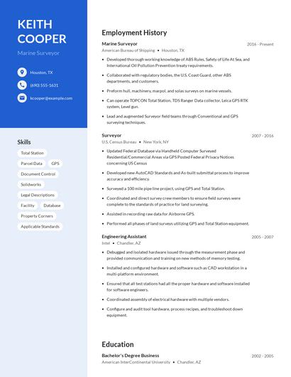 Marine Surveyor Resume