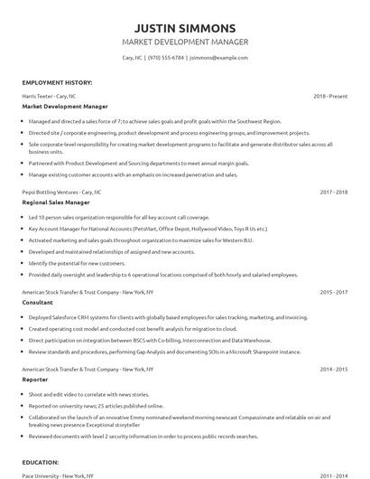 Market Development Manager Resume