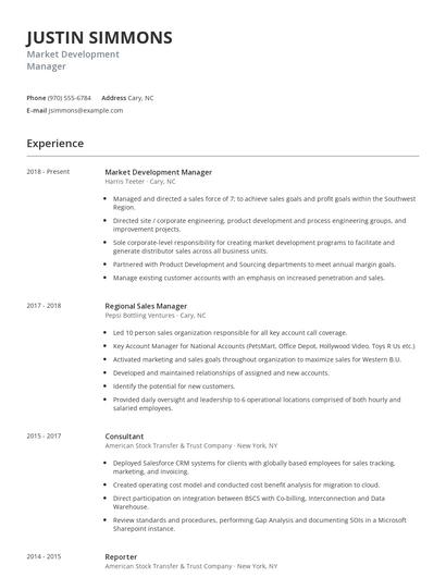 Market Development Manager Resume