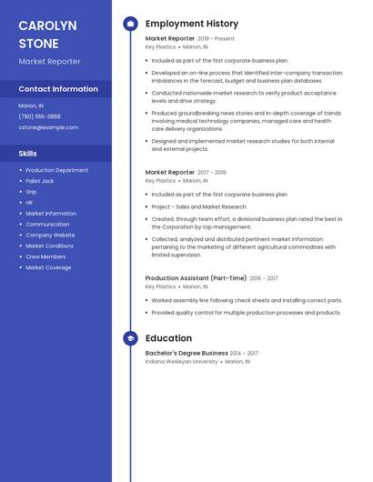 Market Reporter Resume
