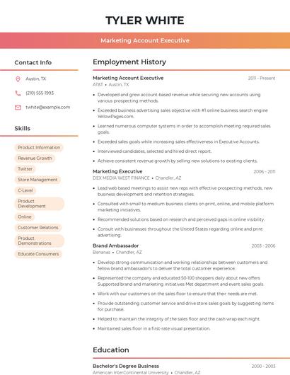 Resume example 3