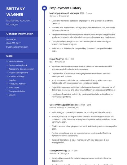 Resume example 5