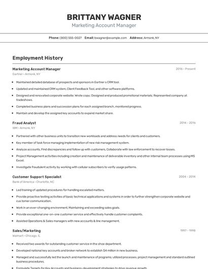 Resume example 2