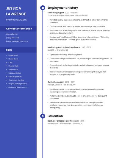 Resume example 5