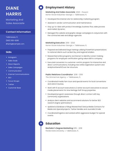 Resume example 5
