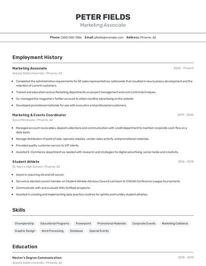 Resume example 2