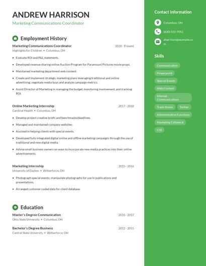 Resume example 4