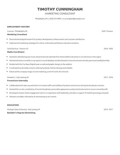 Marketing Consultant Resume