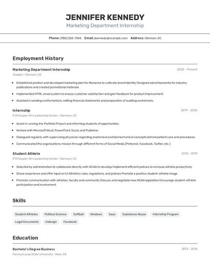 Resume example 2